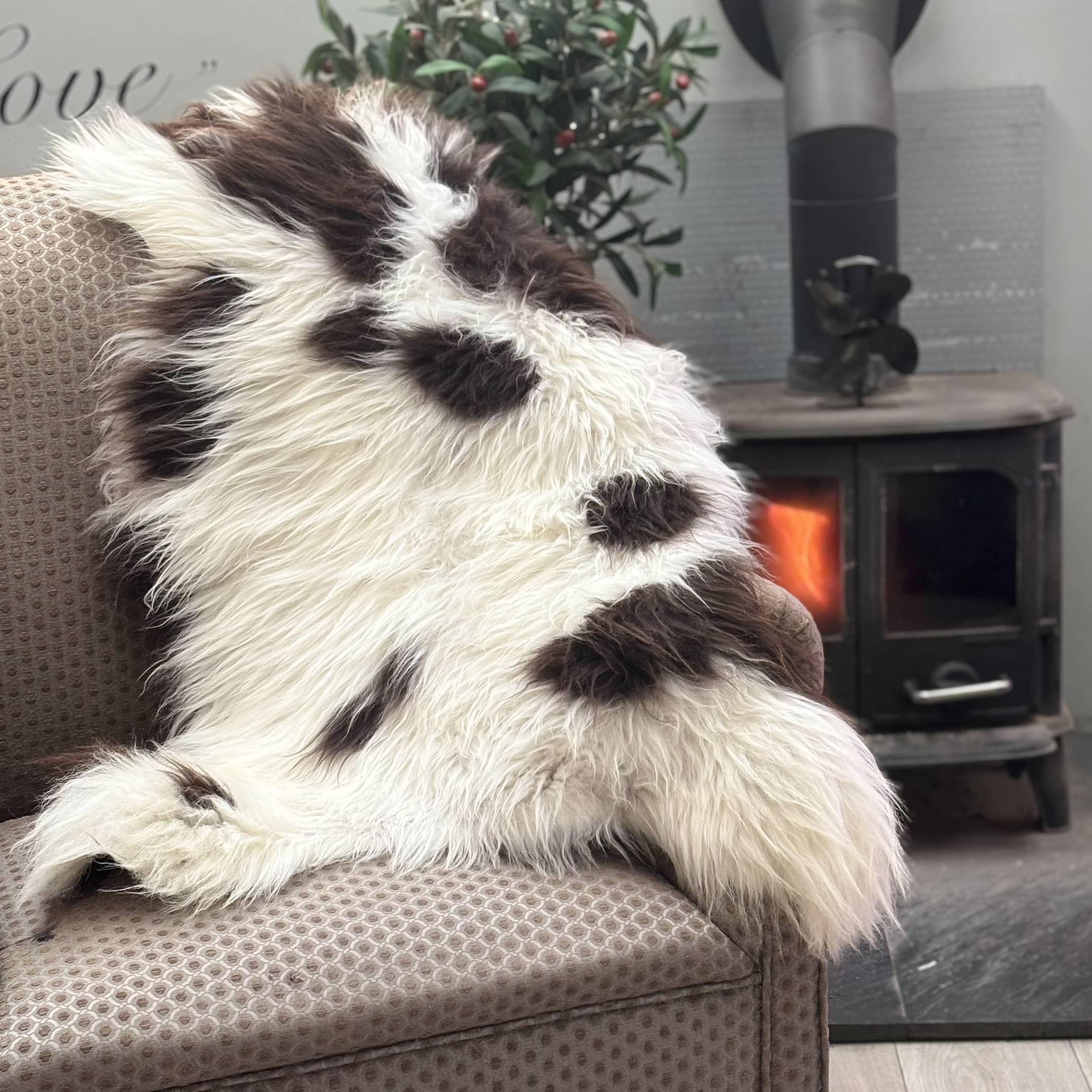 Large Jacob sheepskin rug