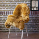 Premium Colour Sheepskin Rugs